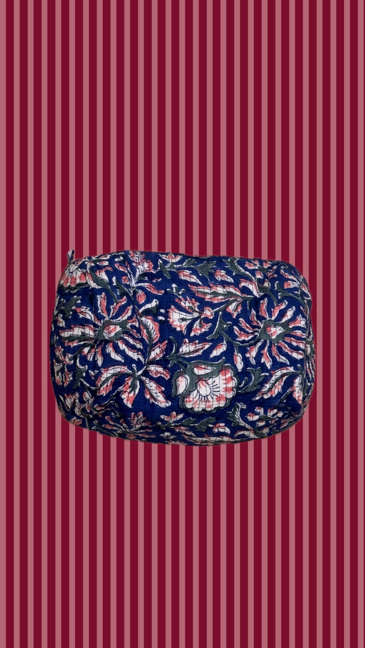 Beauty indiani in cotone